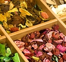 Magicgatebg.com