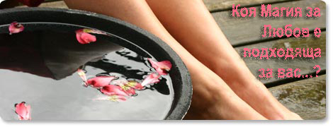 header6.jpg